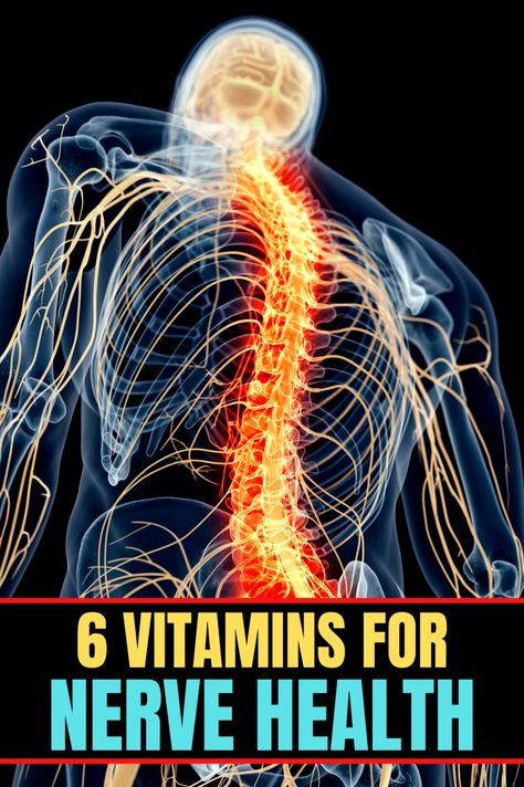 Fortunately, there are vitamins and supplements that can support nerve health. Check out these top six options. Vitamins For Nerve Damage, Supplements For Nervous System, Nerve Damage Remedies, Herbs For Nerve Pain, Nerve Repair, Vitamin Health, Nerve Pain Remedies, Taking Vitamins, Health Remedy