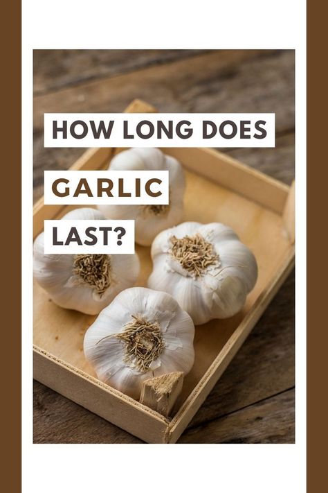 Discover the shelf life of garlic and how to store it properly! Learn how long garlic lasts at room temperature in the pantry and when it's time to toss that garlic bulb. Find out how to tell if garlic is bad and how to store garlic cloves for maximum freshness. Say goodbye to spoiled garlic with these helpful tips! Ways To Preserve Garlic, Store Garlic, Easy Way To Peel Garlic Cloves, How To Store Garlic Long Term, When Is Garlic Ready To Harvest, How To Store Garlic, Kitchen Help, Garlic Uses, Garlic Head