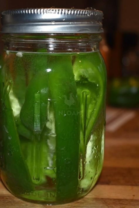 How To Can Green Bell Peppers, Canned Bell Pepper Recipes, Canned Green Peppers, How To Can Sweet Peppers, Canning Green Peppers, Pickled Bell Peppers Recipe, Pickled Bell Peppers, Canning Pie Filling, Winter Canning