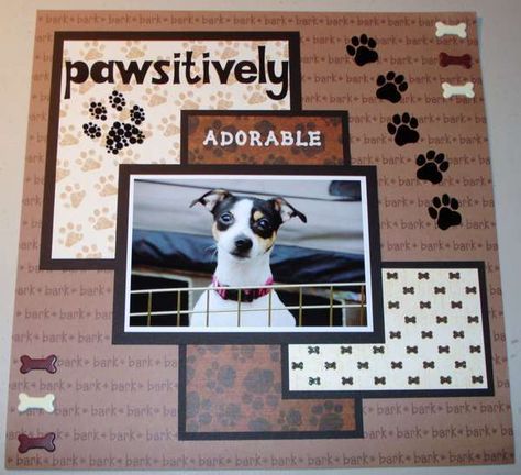 Pawsitively Scrapbooking Pets, Dog Scrapbook Layouts, Cat Scrapbook, Pet Scrapbook Layouts, Dog Scrapbook, Pet Scrapbook, Pocket Letter, Scrapbook Kit, Scrapbooking Photo