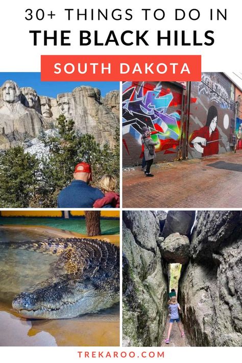 30+ Things to do in the Black Hills of South Dakota Reptile Zoo, Gorgeous Landscapes, South Dakota Vacation, Crazy Horse Memorial, South Dakota Travel, Wind Cave National Park, Black Hills South Dakota, Sylvan Lake, Custer State Park