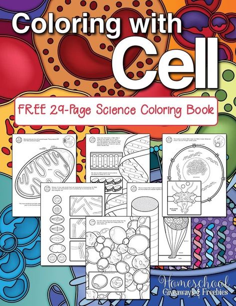 Coloring with Cell FREE 29 Page Coloring Book Chalamet Timothee, Science Cells, Biology Classroom, 7th Grade Science, 6th Grade Science, Biology Lessons, Teaching Biology, Rose Depp, Cell Biology