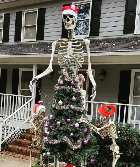 Home Depot's $300 Giant Skeleton Is Now Christmas Decor Cutest Kitchen, Home Depot Halloween, Outdoor Skeleton, Skeleton Ideas, Giant Skeleton, Christmas World, Halloween Express, Skeleton Decorations, Colonial Christmas