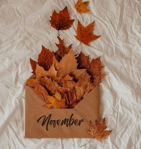 Autumn Instagram, Hello November, Autumn Magic, Autumn Night, Autumn Beauty, Autumn Cozy, Autumn Aesthetic, Fall Wallpaper, Fall Photos