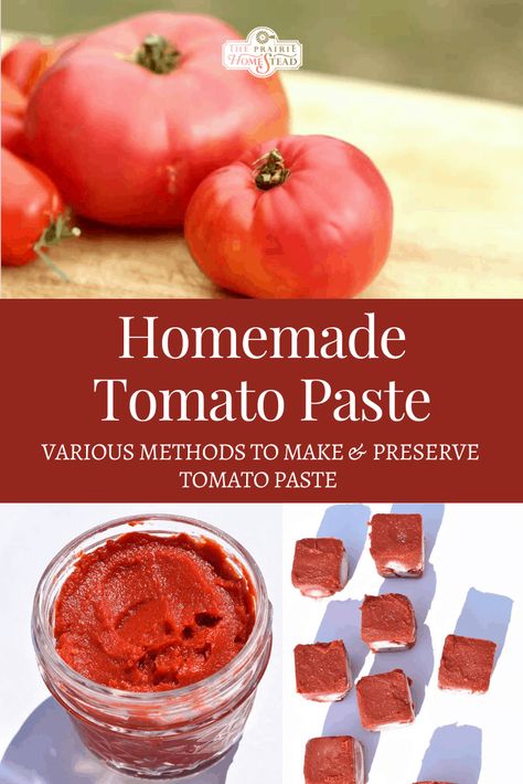 Make Tomato Paste, Homestead Baking, Homestead Food, Homemade Tomato Paste, Tomato Paste Recipe, Homestead Cooking, Canning Granny, The Prairie Homestead, Homesteading Life