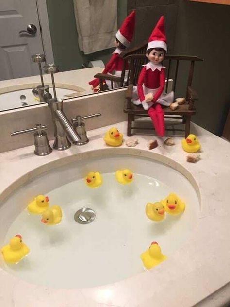 Elf On The Shelf Glide And Go, Elf On The Shelf With Ducks, Elf Feeding Ducks, Elf On The Shelf Feeding Ducks, Elf Ducks, Elf On The Shelf Bringing Gifts, Elf On The Shelf Ducks, Elf On The Shelf Elsa, Elf On The Shelf Rubber Ducks