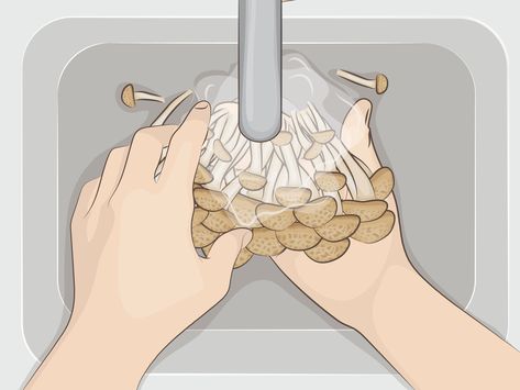 3 Simple Ways to Cook Bunashimeji Mushrooms - wikiHow Bunashimeji-mushrooms Recipe, Shimeji Mushroom, Bunapi Mushrooms Recipe, Udon Noodles, Private Chef, Chili Oil, Asian Flavors, Cooking Basics, Mushroom Recipes