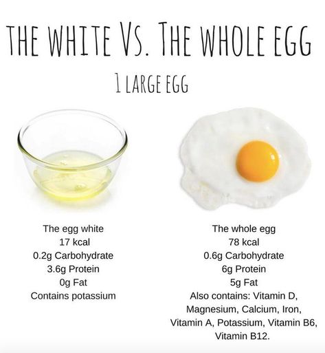 If You Only Eat Egg Whites, This Comparison Photo May Change Your Mind Egg Nutrition, Low Calorie Protein, Nutrition Quotes, Quest Nutrition, Popsugar Fitness, Whole Eggs, Egg White, Egg Whites, Eating Healthy