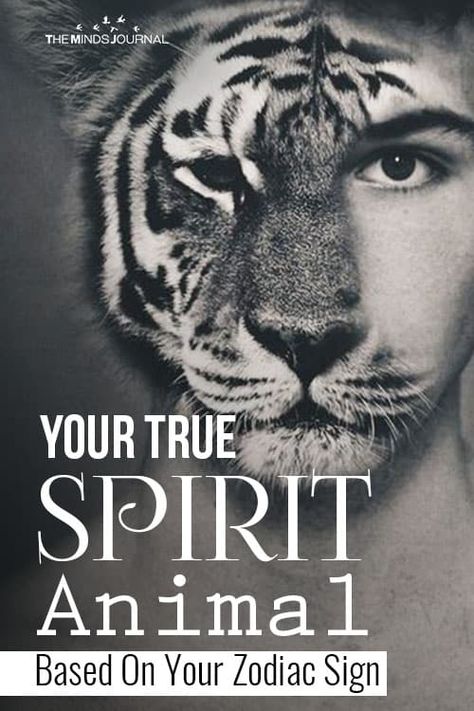 Your True SPIRIT Animal Based On Your Zodiac Sign Spirit Animal Tattoo, Manifest Destiny, Spiritual Animal, Zodiac Sign Astrology, Animal Based, Your Spirit Animal, Zodiac Personalities, Zodiac Traits, Gloomy Day