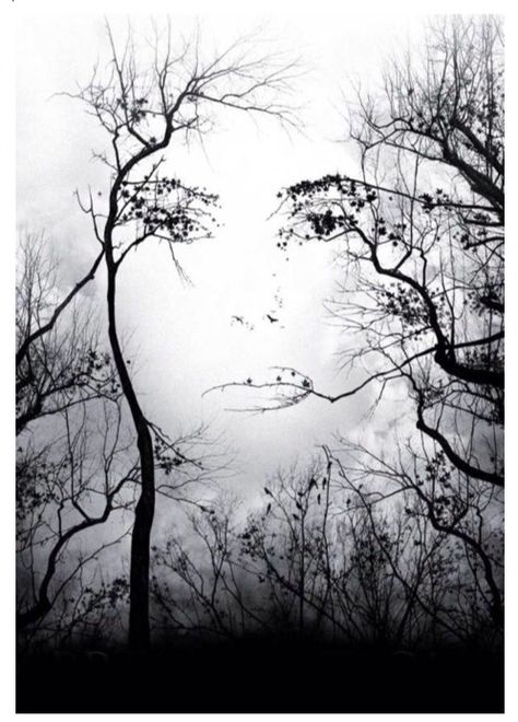 Woman's face in trees Image Illusion, Illusion Kunst, Boom Kunst, Illusion Paintings, Optical Illusions Art, Raster Image, Hur Man Målar, Illusion Art, Hungry Caterpillar