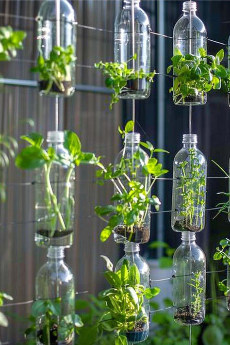 38 Creative Herb Garden Ideas for Sustainable Gardening Small Herb Garden, Hanging Herb Gardens, Herb Garden Ideas, Small Herb Gardens, Hanging Plants Diy, When To Plant Vegetables, Hanging Herb Garden, Herb Wall, Hanging Herbs