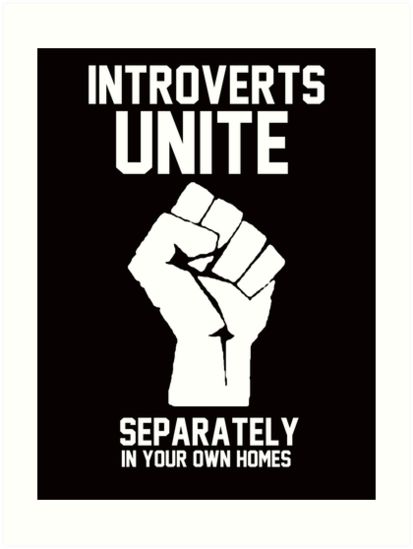 Gifts For Introverts, Introvert Personality, Being An Introvert, Introvert Problems, Introverts Unite, Introvert Quotes, Introvert Humor, Extroverted Introvert, People Funny