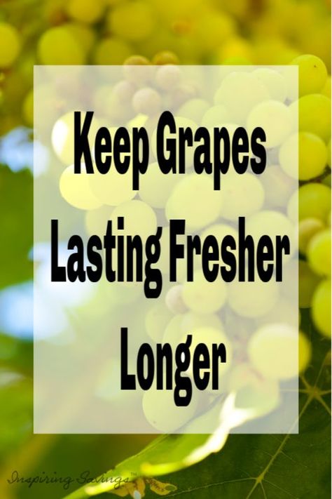 How To Wash Grapes, Clean Grapes, Wash Grapes, How To Store Grapes, Food Saver Hacks, Freezing Fruit, Fruit And Vegetable Wash, Frugal Cooking, Storing Fruit