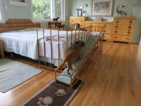 Dachshund DIY bed ramp Dog Ramp For Stairs, Dachshund Bed, Dog Ramp For Bed, Dog Spay, Pet Ramp, Dog Stairs, Diy Dog Bed, Dog Ramp, Pet Hacks