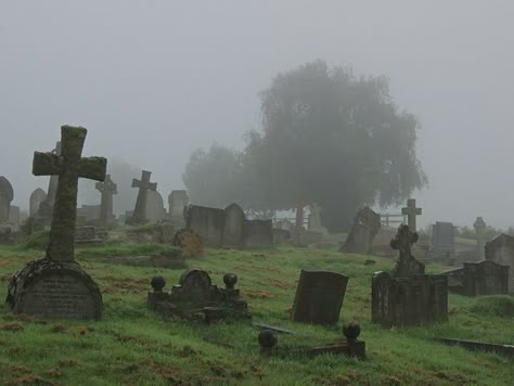 Old Cemetery, Dark Naturalism, Dark Fairycore, Southern Gothic, Dark Fairy, Sendai, The Fog, Nature Aesthetic, Pretty Places