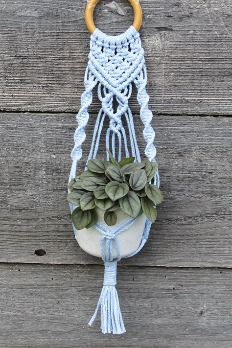 Macrame Succulent Hanger Diy, Macrame Plant Hanger Wall Hanging, Wall Hanging Macrame Plant Hanger, Diy Macrame Wall Plant Hanger, Macrame Wall Hanging Plant Holder Diy, Plant Macrame Hanger Diy, Diy Wall Plant Holder, Macrame Wall Plant Hanger Diy, Macrame Plant Holder Diy