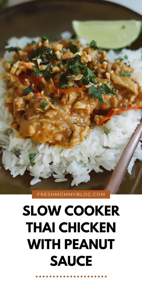 Slow Cooker Thai Chicken | Florida lifestyle | Fresh Mommy Blog Thai Chicken Recipe, Chicken With Peanut Sauce, Slow Cooker Ribs Recipe, Slow Cooker Thai, Slow Cooker Thai Chicken, Slow Cooker Barbacoa, Peanut Sauce Recipe, Slow Cooker Ribs, Florida Lifestyle