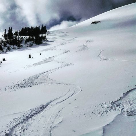 Spent the day hanging with Shia and #@johnhat. Mixed wind slab and cream cheese up there. Surprisingly good! #backcountryskiing #splitboard #earnyourturns #prayforsnow #publiclandsinpublichands #shiasuprise Powder Snowboarding, Backcountry Skiing, White Snow, The Mountains Are Calling, Bc Canada, Ski And Snowboard, Snowboarding, The Mountain, Winter Wonderland