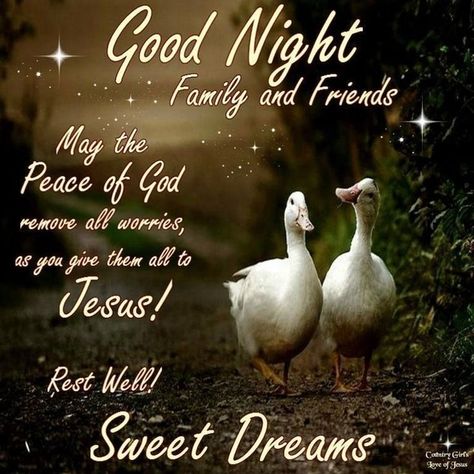 Sweet Dreams Messages, Goodnight Prayers, Cute Good Night Images, Goodnight Blessings, Good Night Msg, Sweet Dream Quotes, Good Night Family, Evening Prayers, Goodnight Sleep