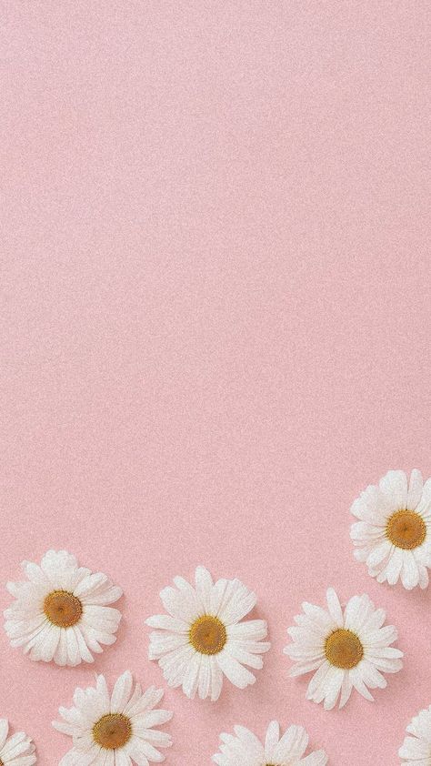 Pastel pink , pink , sun flower , light pink aesthetic wallpaper Pink And White Flowers Wallpaper, Pink Asethic Pictures, Pink Asthetics Background, Asthetics Wallpaper Pastel, Pink Spring Aesthetic Wallpaper, Light Pink Flower Background, Valentines Asthetics Wallpaper, Light Pink Asthetics Wallpaper, Light Pink Astetic