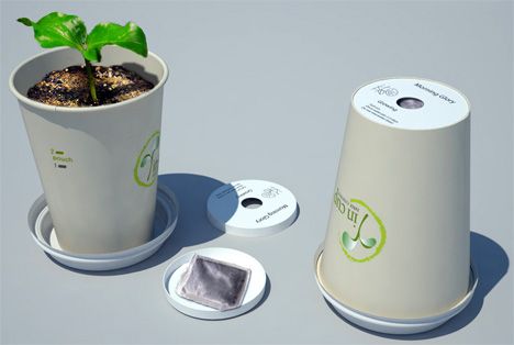 plant in your coffee cup Coffee Cup Storage, Coffee Cup Crafts, Paper Cup Design, Cup Plant, Creative Planter, Disposable Coffee Cups, Seed Packaging, Paper Coffee Cup, Good Intentions