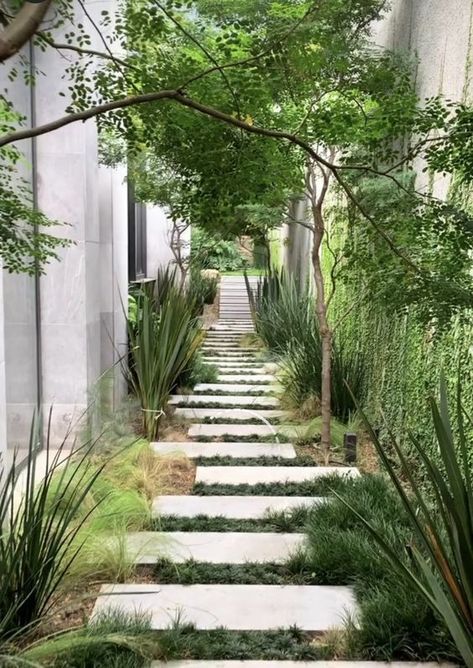 Outdoor Corridor Design, Corridor Garden, Side Path, Small Yard Landscaping, Side Yard Landscaping, Pathway Landscaping, Outdoor Walkway, Garden Paving, Side Garden