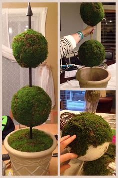 Diy Topiary, Topiary Diy, Moss Ball, Topiary Trees, Deco Floral, Shade Garden, Front Door Decor, Easter Decorations, Easter Crafts