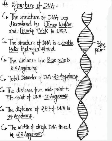 Neet Exam Notes Biology Tricks, Neet Exam Notes, Medical Terminology Study, Biochemistry Notes, Biology Diagrams, Dna Structure, Learn Biology, Chemistry Basics, Study Biology