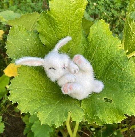 Needle Felted Sleeping Animals, Needle Felt Bunny, Needle Felting Diy Tutorials, Wool Felting Animals, Bunny Sculpture, White Hare, Felting Animals, Diy Felt Christmas Ornaments, Dry Felting