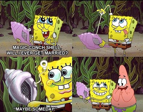 it's the magic conch shell! Spongebob Sayings, Magic Conch Shell, Spongebob Logic, Spongebob Quotes, Spongebob Stuff, Timeless Show, Campfire Songs, Funny Spongebob, Spongebob Square