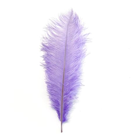 Ostrich Feather, All Things Purple, White Feathers, Ostrich Feathers, Craft Work, Dried Flowers, Medium Size, Large Size, Feathers