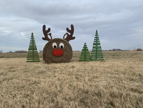 Farm Christmas Decor Outdoor, Round Hay Bale Decorating Ideas Christmas, Snowman Hay Bale, Hay Bale Decorating Ideas Christmas, Hay Bale Christmas Ideas, Hay Bale Christmas Decor, Christmas Float Ideas Parade, Christmas Barn Decorations, Christmas Hay Bale Ideas