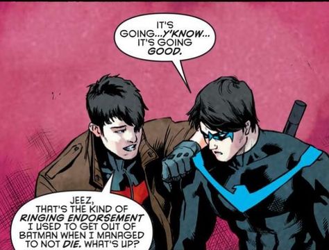 Nightwing Rebirth, Red Hood And Nightwing, Red Hood Jason Todd, Univers Dc, Red Robin, Im Batman, Tim Drake, Damian Wayne, Dc Memes