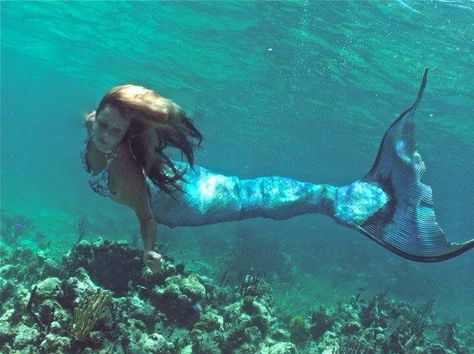 Mermaids The Body Found, Real Mermaids Found Alive, Mermaid Gifs, Whale Song, Silicone Mermaid Tails, Mermaid Images, Fish Tales, Real Mermaids, Hawaii Oahu