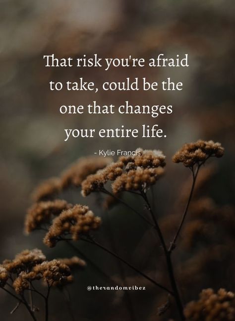 Things Looking Up Quotes, Risk Takers Quotes, Take The Risk Quotes, Taking The Risk Quotes, Quotes About Risk, Risk Taking Quotes Motivation, Life Is About Taking Risks Quotes, Quotes On Risk Taking, Quotes About Smiling