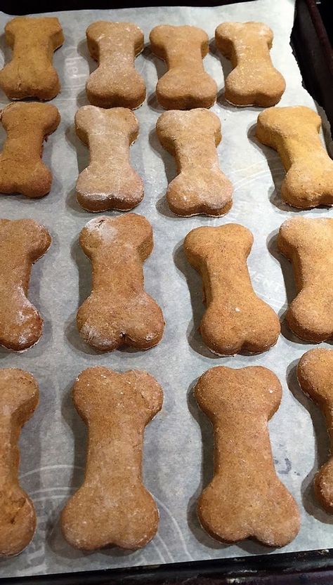 Baby Treats, Banana Dog Treat Recipe, Homemade Cocoa, Peanut Butter Banana Cookies, Dog Cookie Recipes, Kitty Treats, Dogs Treats, Doggy Treats, Dog Treats Homemade Easy