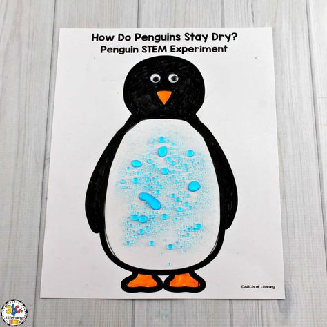 Penguin Activities for a Winter Animal Unit of Mini-Lesson Penguin Science, Penguin Crafts Preschool, Penguin Preschool, Penguin Life Cycle, Tacky The Penguin, Arctic Animals Crafts, Winter Animal Crafts, All About Penguins, Penguin Activities