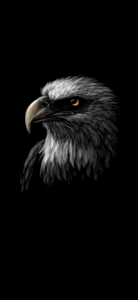 Bald Eagle Wallpaper, Eagle Wallpaper, Bald Eagle, To Share