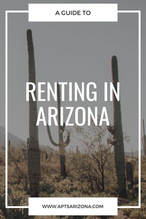 If you’re planning on renting in Arizona or even considering moving in general, you probably have a ton of questions floating through your mind. What things should I know before moving to Arizona? What’s the average rent price? What is the cheapest city to live in? How does renting in Arizona compare to other states? These questions may seem overwhelming but look no further because all these questions will be answered! Moving To Arizona Tips, Moving To Arizona, Show Low Arizona, Living In Arizona, Tucson Arizona, Moving Out, Relocation, Being A Landlord, Tucson