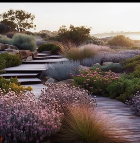 Coastal Home Landscaping, Coastal Garden Design, Australian Coastal Garden, Coastal Planting, Australian Backyard, Unique Landscaping, Steep Gardens, Australian Gardens, Vegetable Beds