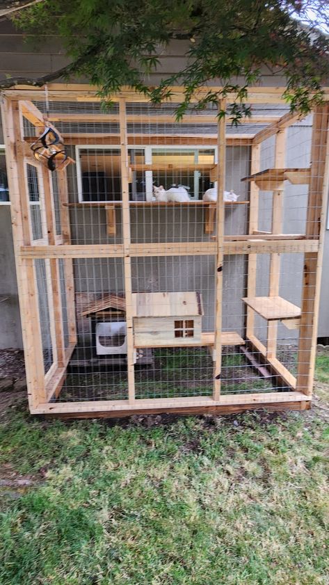 We built this cario for our 2 new additions to the family. Catio Attached To House, Diy Catios For Cats Outside Cheap, Diy Catios For Cats Outside Easy, Diy Catios For Cats Outside, Cat Catio, Catio Ideas, Diy Cat Enclosure, Herding Cats, Cats Outside