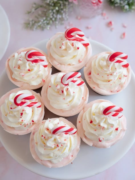 No-Bake Candy Cane Cheesecakes - Creme de Lacombe Nutcracker Desserts, Candy Cane Desserts, Gingerbread Latte Cupcakes, Candy Cane Cheesecake, Nutcracker Tea Party, Candy Cane Tea, No Bake Candy, Bake Cheesecake Recipes, No Bake Cheesecake Recipes