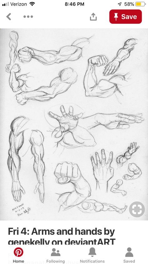 Drawing Male, Arm Drawing, 4 Arms, Human Anatomy Drawing, Human Figure Drawing, Human Anatomy Art, Anatomy Sketches, Body Reference Drawing, Anatomy Drawing