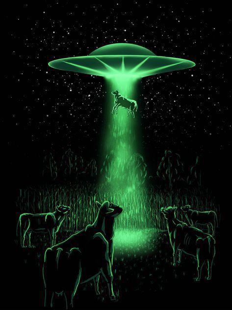 Cows At Night, Aesthetic Cow, Ufo Photography, Alien Stuff, Cow Graphic, Alien Halloween, Alien Spacecraft, Designer Graphic Tees, Ufo Art