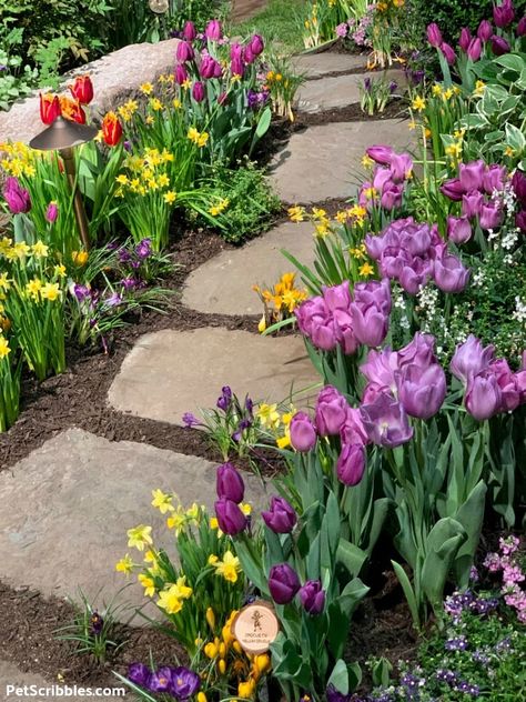 Bulb Garden Design Layout, Climbing Rose Ideas, Flowers To Plant In Spring, Farmhouse Gardens, Garden Inspiration Ideas, Bulbs Garden Design, Bulb Garden, Cottage Garden Borders, Flower Path