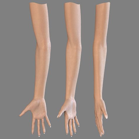 Human Template, Lips Drawings, Model Anatomy, Arm Anatomy, Drawing Arms, Eye Drawings, 3d Reference, Drawing Anatomy, Arm Drawing