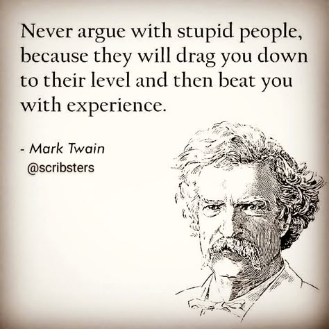 Never argue with a fool. People Who Like To Argue, Don't Argue With A Fool, Never Argue With A Fool, Don’t Argue With Fools, Arguing With Fools, Argue Quotes, Arguing Quotes, Fool Quotes, English Communication