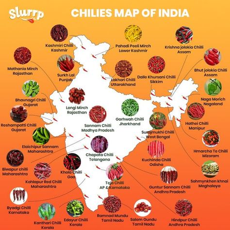 Bhut Jolokia, Food Map, Indian Diet, India Map, India Food, Indian Curry, Red Chilli, Indian Cooking, Home Chef