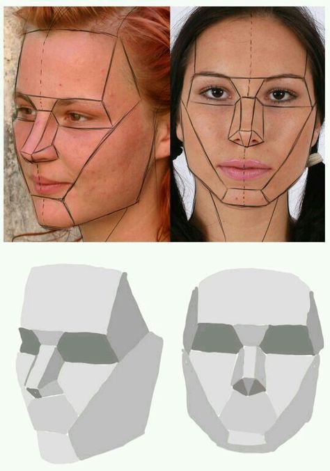 رسم كاريكاتير, Face Anatomy, الفن الرقمي, 얼굴 드로잉, Drawing Heads, Human Anatomy Art, Anatomy Sketches, Drawing Faces, Anatomy Drawing