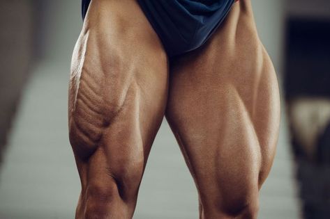 Very strong quads and muscular legs Quadriceps Exercises, Best Quad Exercises, Muscles Exercises, Quad Workout, Muscles Anatomy, Quad Muscles, Gluteus Medius, Quad Exercises, Leg Training